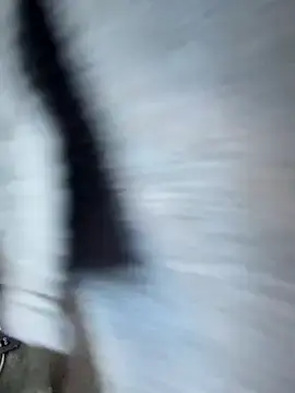 Stripchat Free Porn Cam of DallasAria