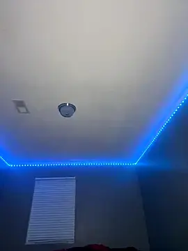 Stripchat Free Live Porn of Festivitiesking1