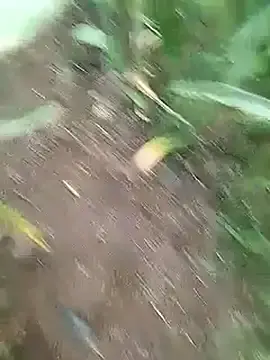 Stripchat Live Porn of Cute_Boy_4