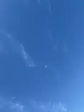 Stripchat Sex Cam of _Dime_