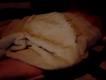 Stripchat Private Sex Chat of smokee_parT903