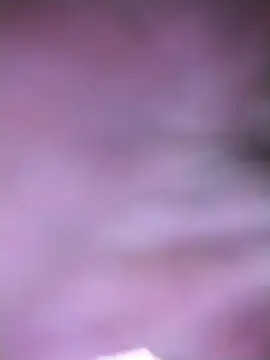 Stripchat Live Sex Cam of Treemandude