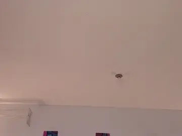 Stripchat Best Webcam of TatoKat