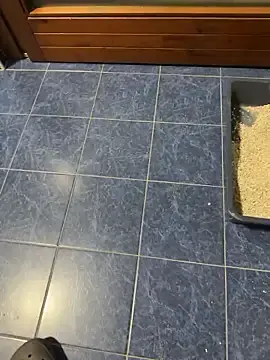 Stripchat Adult Video Chat of maialexte