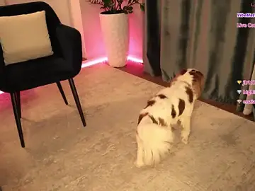 Stripchat Live Porn of Katherinepinke