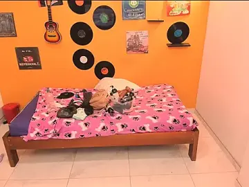 Stripchat Adult Video Chat of meisevil77