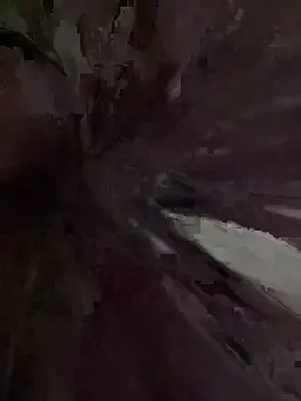 vivi-tara from stripchat