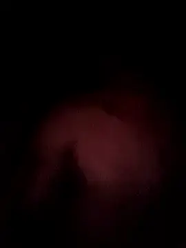 Stripchat Nude Webcam of Caiomoretto