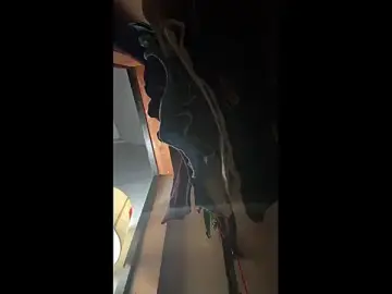 Stripchat Sex Cam of Pussyismyfavoritetaste