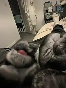 Furdale from stripchat