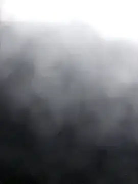 Stripchat Adult Video Chat of Roddog18