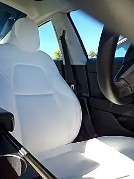 Stripchat Live Porn of Roddog18