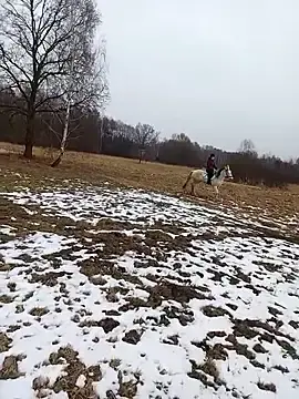 Stripchat Sex Chat of Tortuga95PL