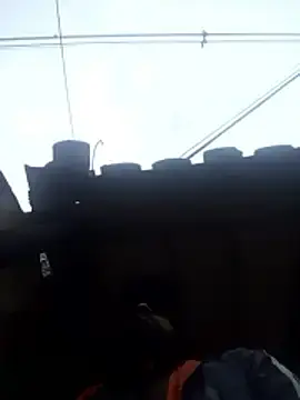 Stripchat Best Webcam of hairy_mannn