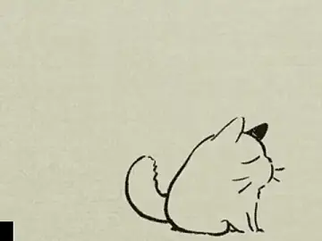 Stripchat Adult Video Chat of zoneboys