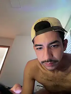 Stripchat Live Sex Cam of vinihfeh