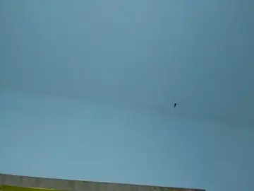 Stripchat Watch Live Sex Cams of Kitty_ravee