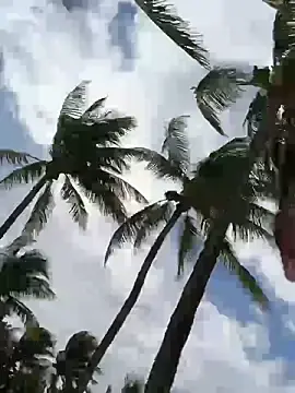 Stripchat Free Porn Cam of sweetsirenn