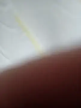 Stripchat Nude Webcam of GeilerSchweizer