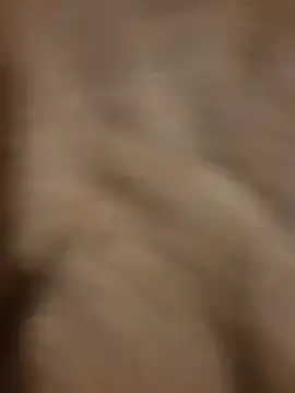 Stripchat Adult Video Chat of panter9191