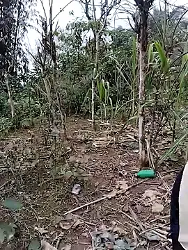 Stripchat Free Live Porn of iam-eli