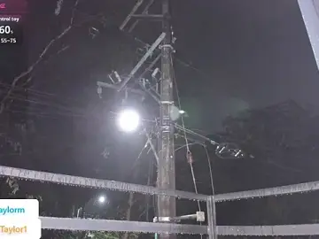 Stripchat Watch Live Sex Cams of DaisyTaylor__