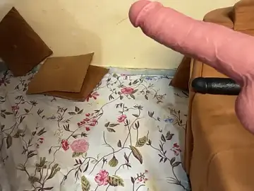 Stripchat Best live sex cam show of Sheela_oshovadi