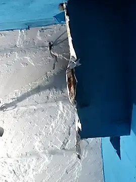 Stripchat Watch Live Sex Cams of Akanksha_soni