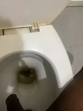 Stripchat Adult Webcams of calibrow