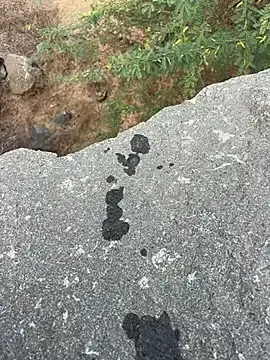 Stripchat Best Webcam of goodboyTelugu