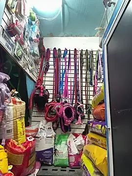 Stripchat Live Sex of Lucy_699