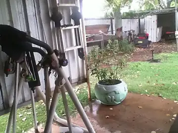 Stripchat Adult Video Chat of herbie010666