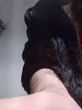 Stripchat Adult Webcams of Passivello9