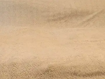 Stripchat Watch Live Sex Cams of AnalCouple_Germany