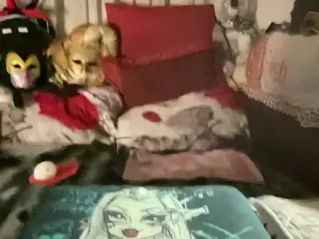 Stripchat Free Porn Cam of EroticVenetian