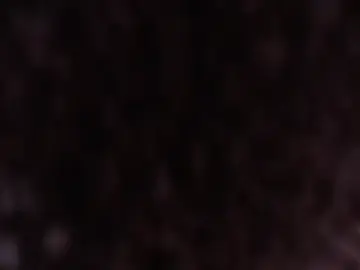 Stripchat Live Sex Cam of Lexibby69