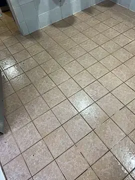 Stripchat Best live sex cam show of nice686@xh