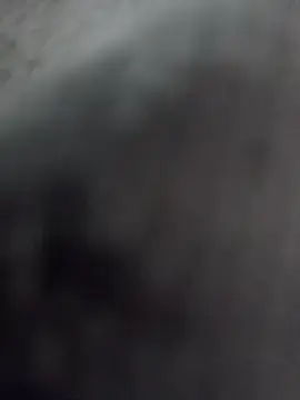 Stripchat Live Porn of loboalfa2030