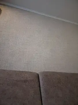 Stripchat Live Sex Cam of Eva_SweetCatt