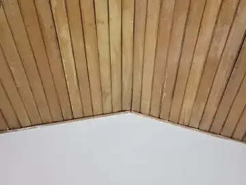 Stripchat Best live sex cam show of ashly_jones_