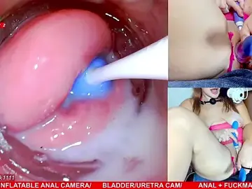 Stripchat Best live sex cam show of MaryBrook1