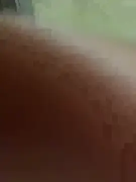 Stripchat Watch Live Sex Cams of vebvs