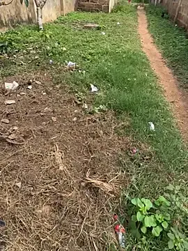 Stripchat Free Live Porn of Black-mamba-madingo