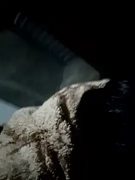 Stripchat Private Sex Chat of Min2589