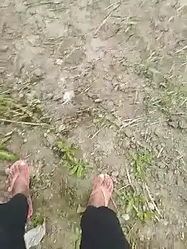 Stripchat Sex Chat of bigh96dik