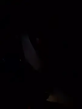 Stripchat Live Porn of Armyexhibitionistvet