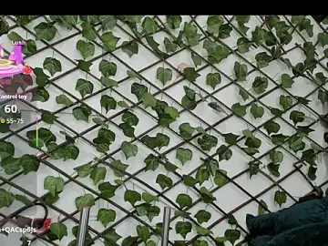 Stripchat Live Sex Cam of emy_0