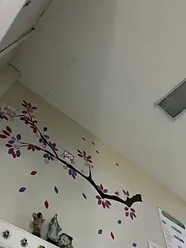 Stripchat Free Porn Cam of aphrodite_sexy