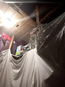 Stripchat Adult Webcams of BulbasaurIsmettv