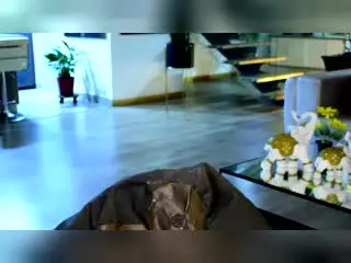 Xlovecam Sex Cam of Lukas